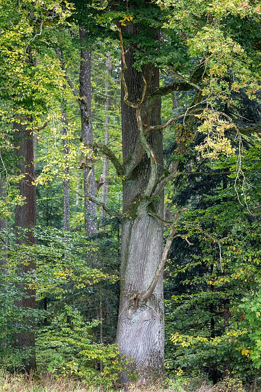20231015103920-RD4 4742