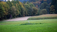 20231014101844-RD4 4666-Verbessert-RR